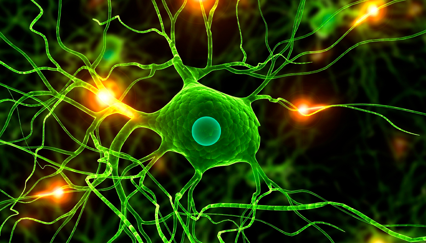 ¿Qué utilizamos en Terapia Neural para los tratamientos?